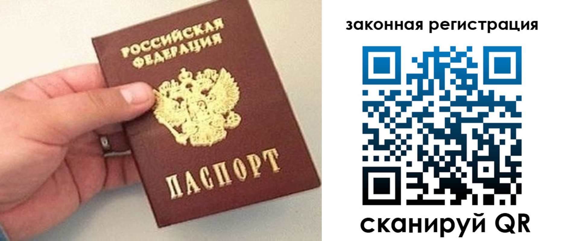 прописка для школы в Егорьевске
